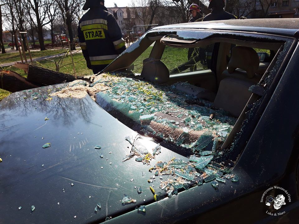 OKOLICE: Drzewo przygniotło samochód (FOTO)