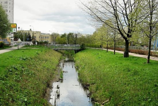 Remont koryta, nowe drzewa - zmiany na Kanale Gocławskim