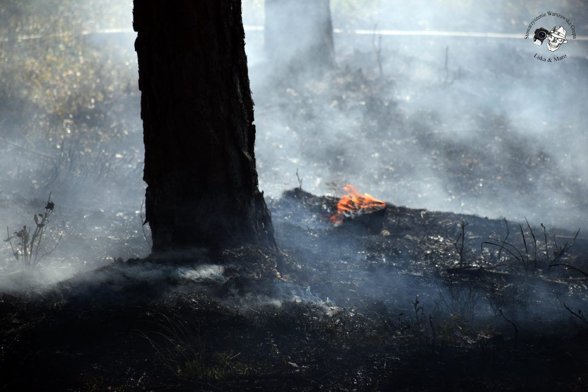 OKOLICA: Pożar lasu na granicy Warszawy i Jabłonny