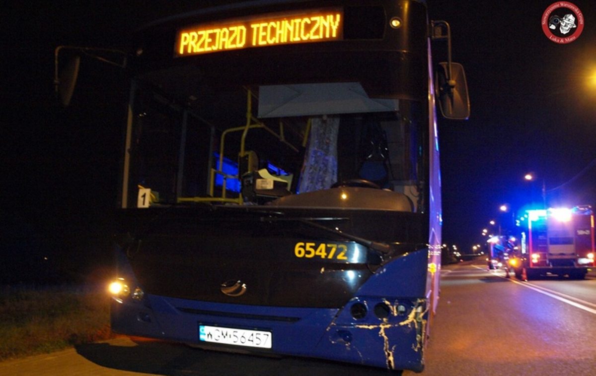 OKOLICA: Zderzenie autobusu i peugeota z sarną