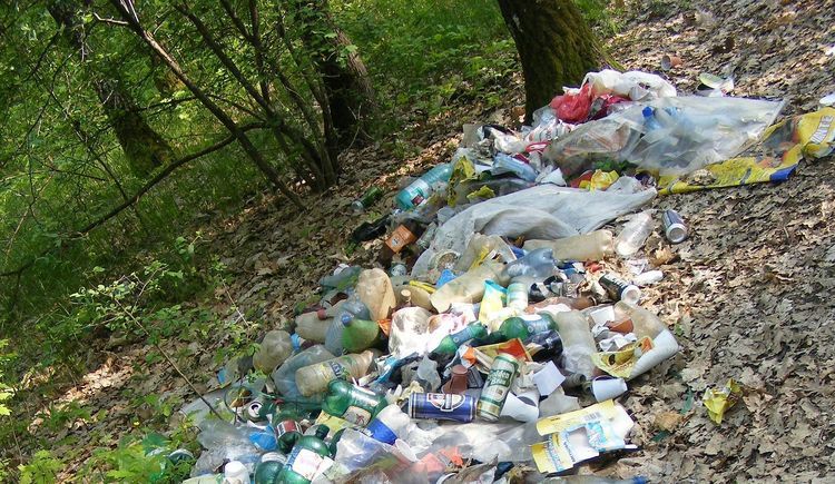 Meble, gruz, butelki – lasy toną w śmieciach