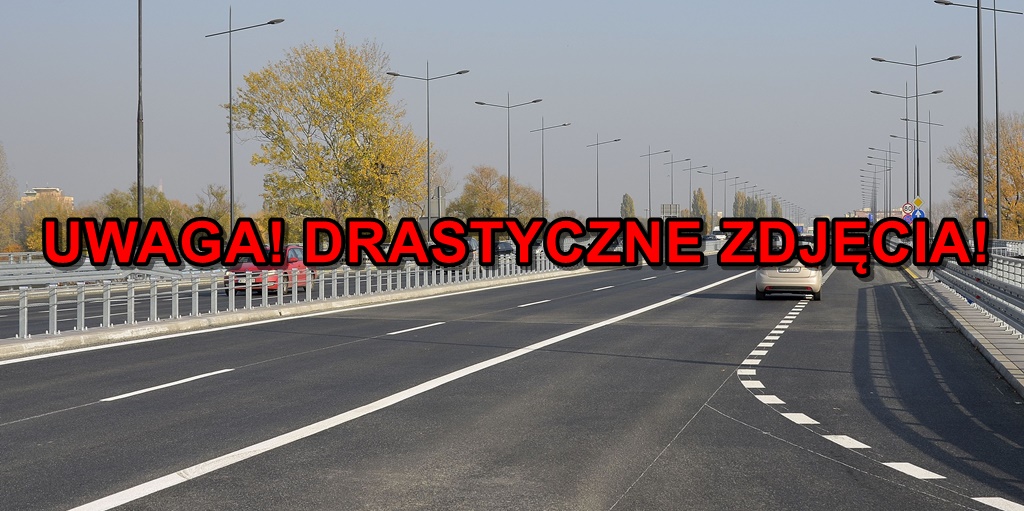 Zginął w wypadku na moście Łazienkowskim. Policja prosi o pomoc w identyfikacji. UWAGA! DRASTYCZNE ZDJĘCIA!
