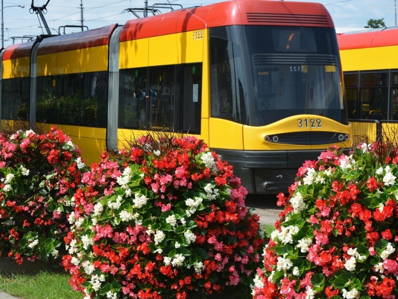 Tysiące begonii na pętlach tramwajowych. Najwięcej na Żeraniu i "Wiatraku"