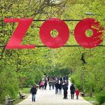 Rok z życia warszawskiego zoo