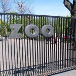 Miejski Ogrod Zoologiczny w Warszawie