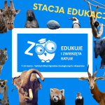 TyDzień Misji Ogrodów Zoologicznych w Warszawskim ogrodzie zoologicznym