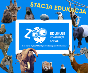 TyDzień Misji Ogrodów Zoologicznych w Warszawskim ogrodzie zoologicznym