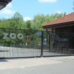 Warszawski ogród zoologiczny zmienia nazwę! Otrzyma imię Antoniny i Jana Żabińskich