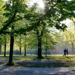 Biegaj w Parku Skaryszewskim