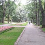 Park Skaryszewski - Główna aleja