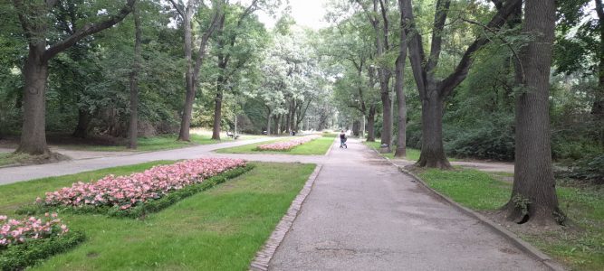 Park Skaryszewski - Główna aleja