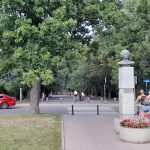 Jaki regulamin Parku Skaryszewskiego? – Konsultacje społeczne