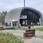 Piknikowy finał Warszawskiego Święta Drzewa