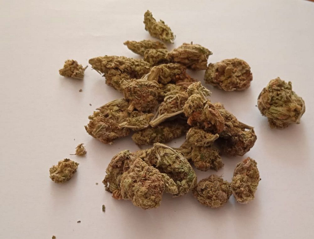 Marihuana, haszysz i amfetamina między kapustą a marchewką