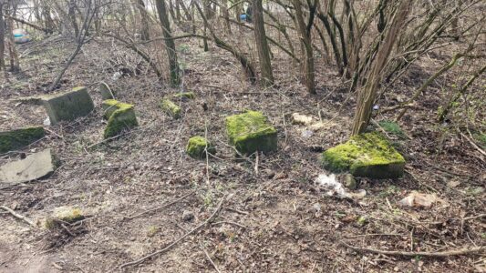 Wycinka drzew i ekshumacje na białołęckim cmentarzu!