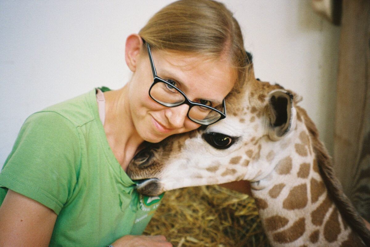 10 Żyrafa Pietruszka z opiekunką Magdą fot. Warszawskie ZOO