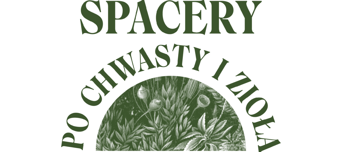 Spacery po chwasty i zioła fot. DK Praga