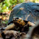 Centrum CITES przy Warszawskim ZOO świętuje 10-lecie