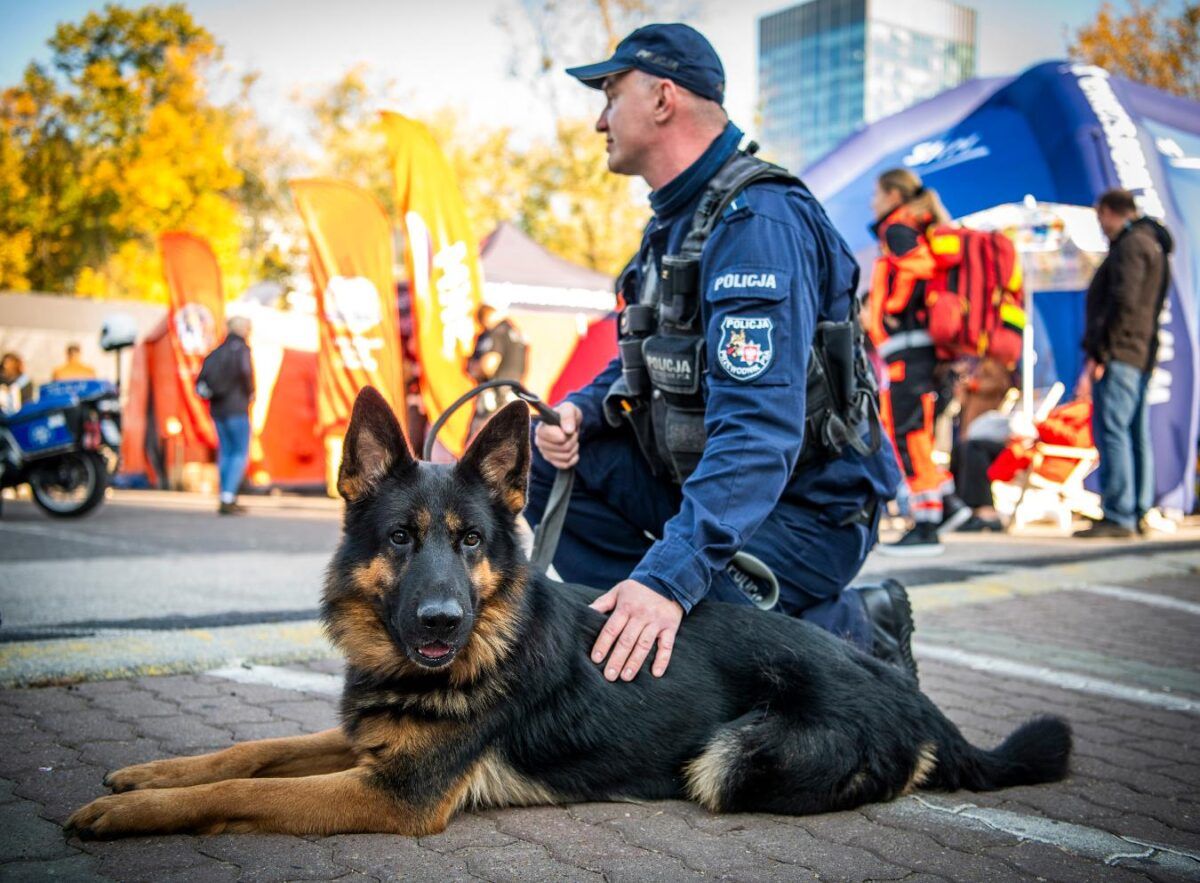 Podsumowanie Tygodnia Bezpieczeństwa 1 fot. UM