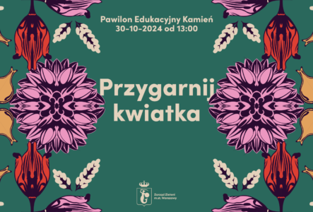 Przygarnij kwiatka 2024 fot Zarząd Zieleni Warszawa