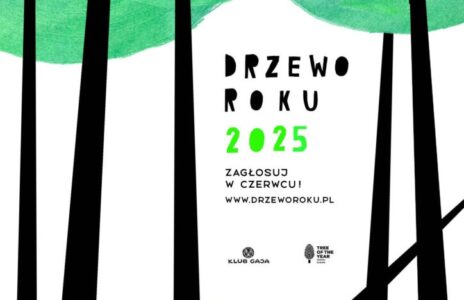 drzewo roku 2025