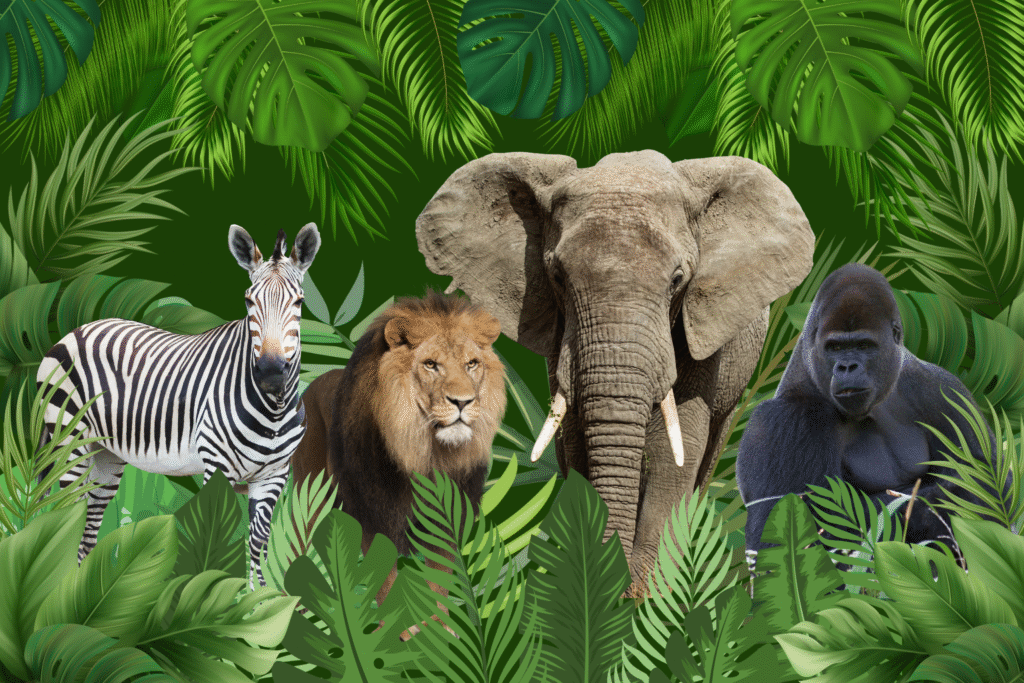 Foto Warszawskie ZOO