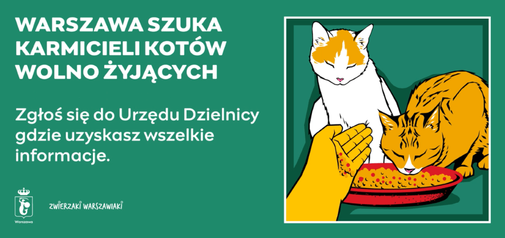 Dołącz do grona opiekunów wolno żyjących kotów. Biuro Ochrony Środowiska UM Warszawy zachęca mieszkańców do zaangażowania się w opiekę nad wolno żyjącymi kotami
