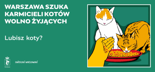 Dołącz do grona opiekunów wolno żyjących kotów. Biuro Ochrony Środowiska UM Warszawy zachęca mieszkańców do zaangażowania się w opiekę nad wolno żyjącymi kotami