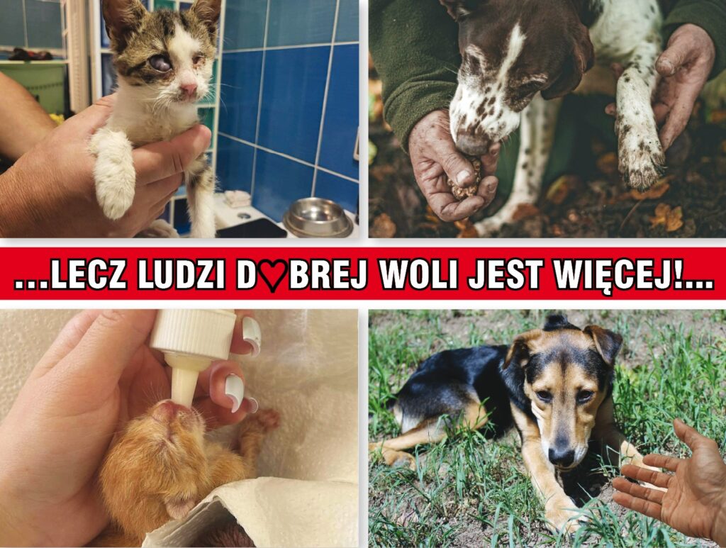 lecz ludzi dobrej woli jest więcej