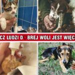 …Lecz ludzi dobrej woli jest więcej!…
