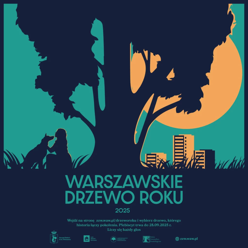 warszawskie drzewo roku Foto Zarząd Zieleni