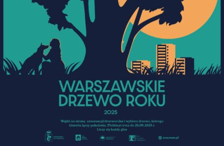 warszawskie drzewo roku Foto Zarząd Zieleni