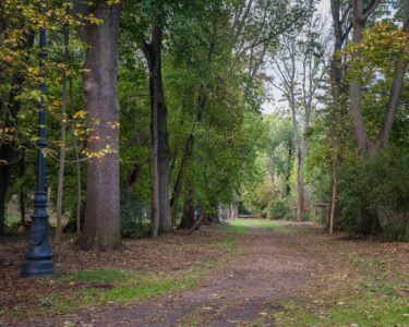 Modernizacja alejek w Parku Skaryszewskim Foto ZZW