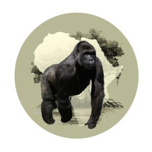 Tydzień Misji ZOO 2026 ; autor: Ewa Jakowlew