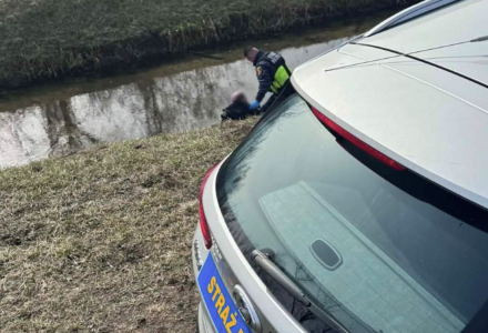 „Alko-piknik” nad Nową Ulgą; autor: Straż Miejska