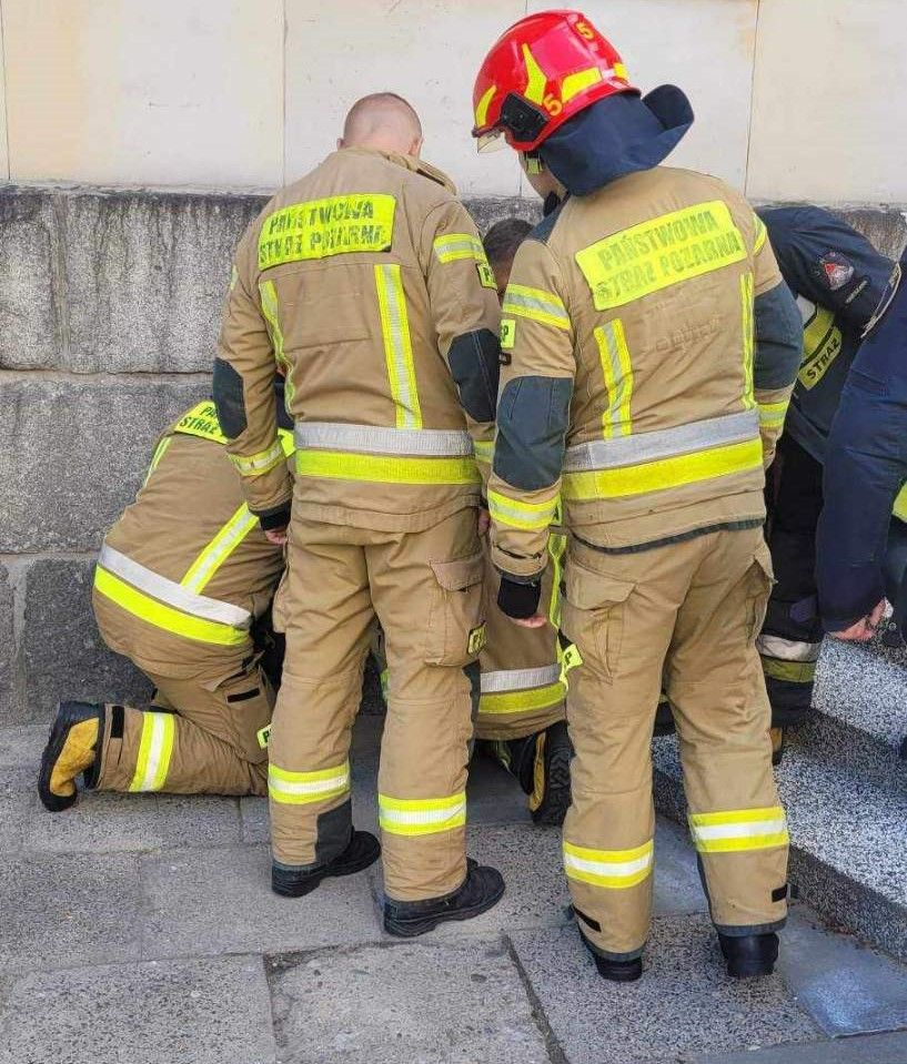 Tajemnica uwięzionego jeża Foto Straż Miejska