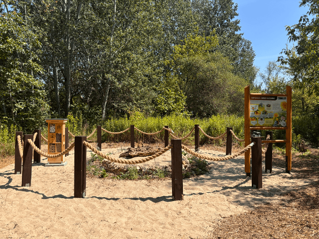 sandarium foto ud mokotów