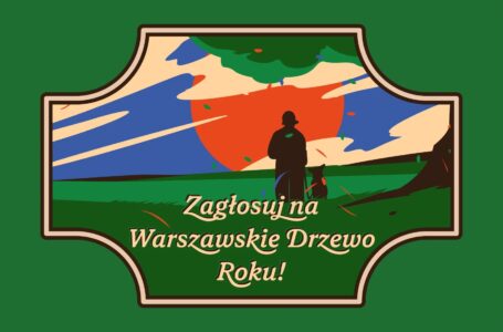 warszawskie drzewo roku Foto ZZW